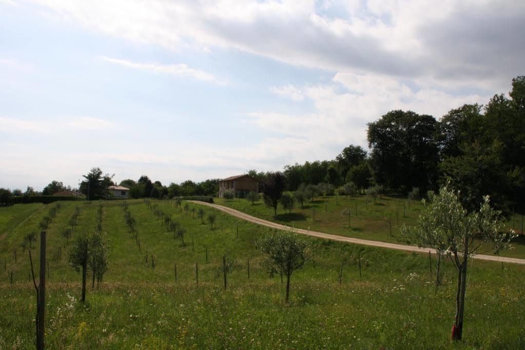 Agriturismo Da Merlo Тривиньяно Экстерьер фото